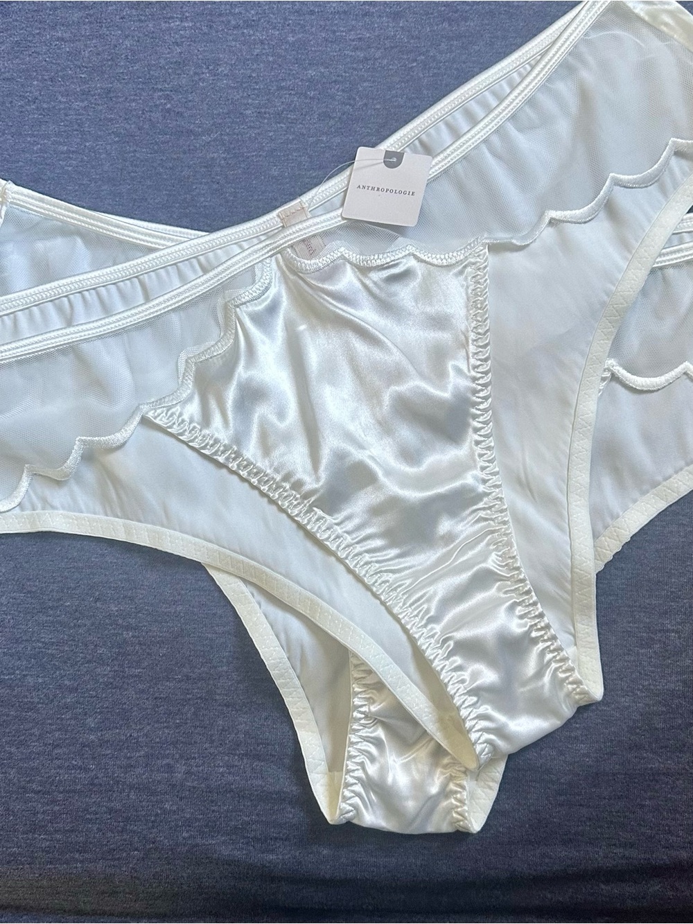 NWT-2 Anthropologie Satin & Sheer Bikini Briefs in Ivory